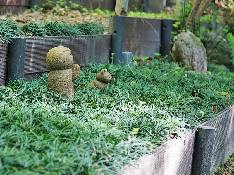 北白川 圓光寺 もみじの山樹木葬・納骨堂