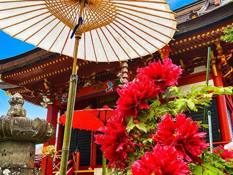 寺院に咲く花々