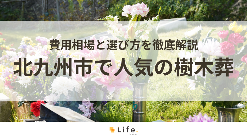 【解説付き】北九州市で人気の樹木葬ランキング！費用相場と選び方を徹底解説