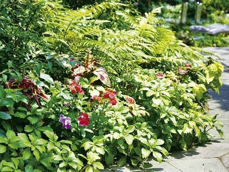 季節の花々が境内を彩ります