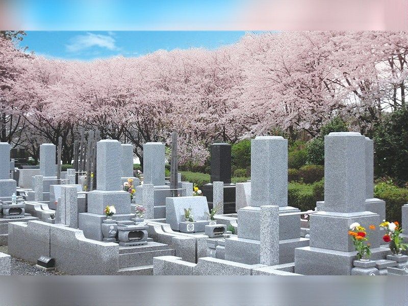 春にはみごとな桜が咲き誇る、明るい雰囲気の園内。
