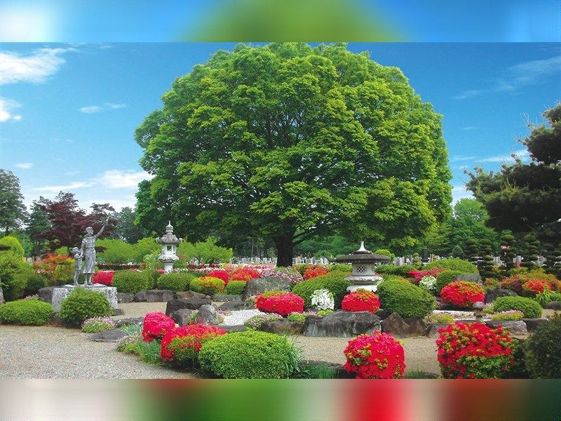 園内の花壇公園には四季折々の花が咲き乱れ、訪れる人々を癒してくれます。