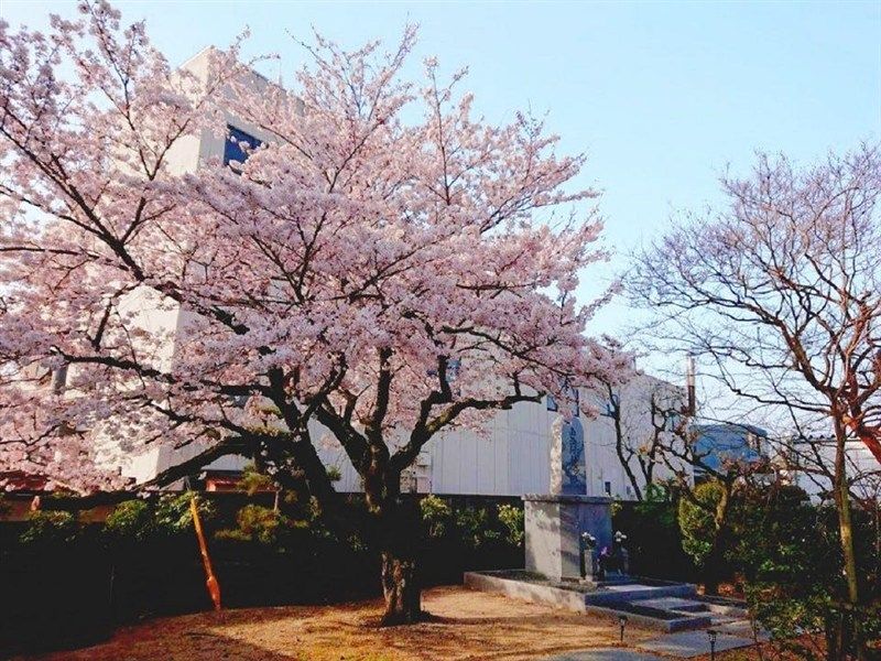 善正寺