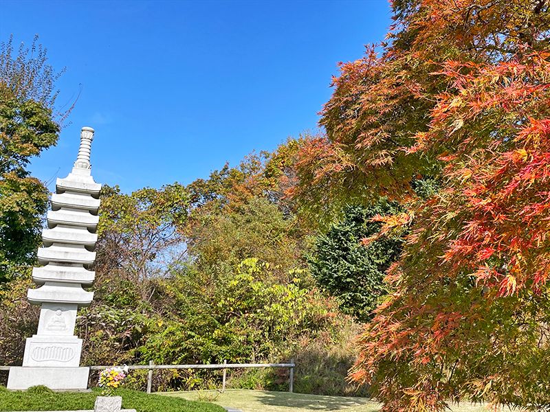 いわて奥州・北上 自然葬 国見の里