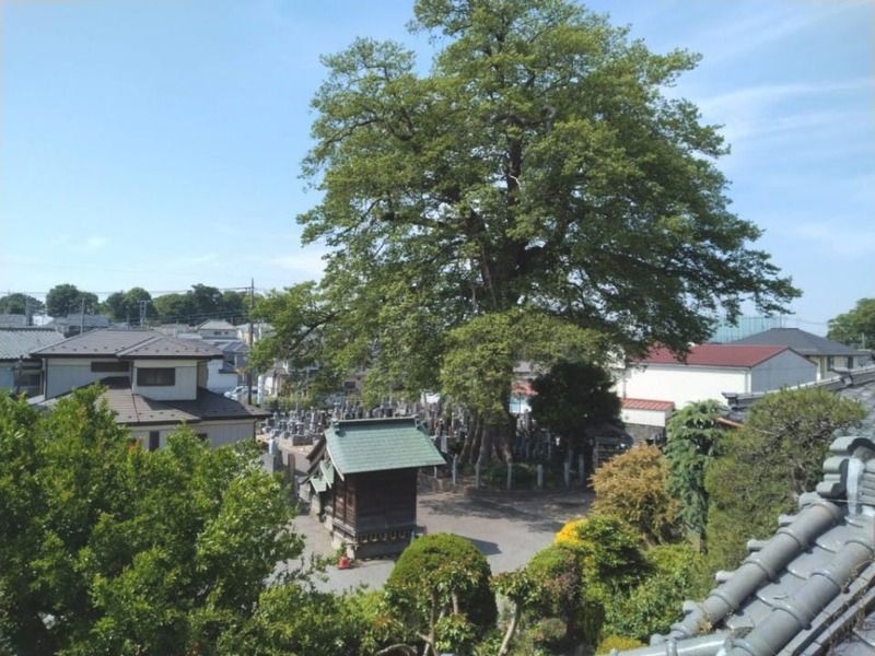 蓮花院 永代供養・樹木葬