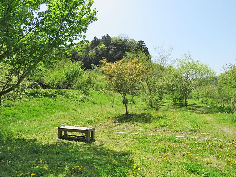 森の墓苑　大草原の中にあるベンチ