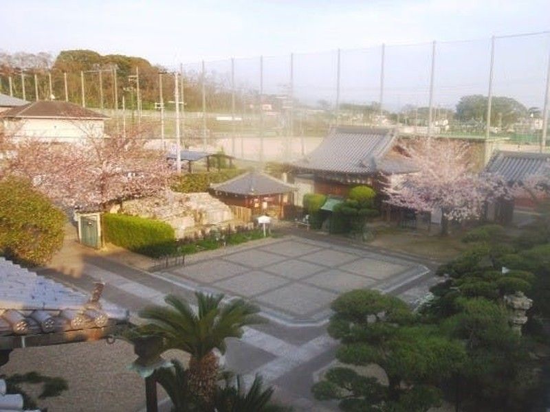 延壽院墓地(延寿院)