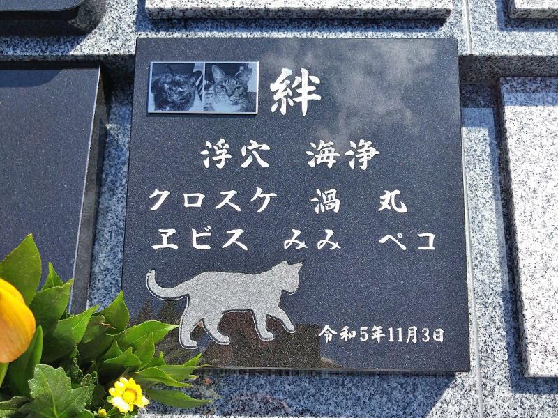 善遠寺境内墓地
