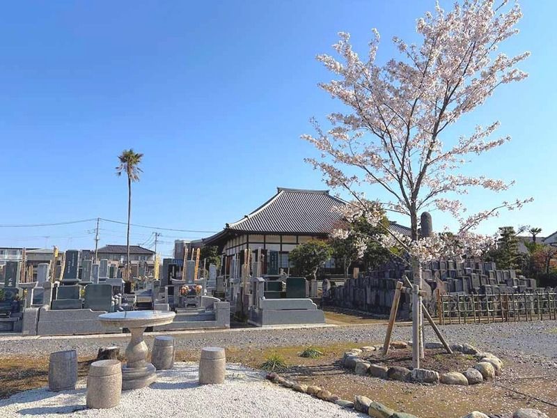 一般墓地