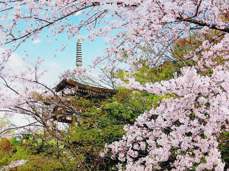 三宝山 瑞光寺 納骨堂