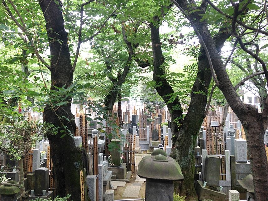 本郷さくら霊園10