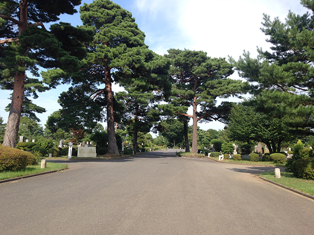 都立 小平霊園　木々に囲まれた広い参道