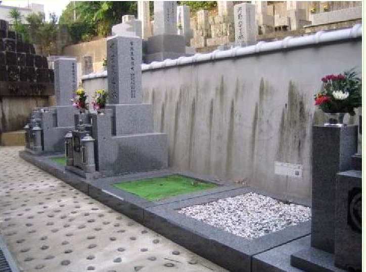 光照山 阿弥陀寺