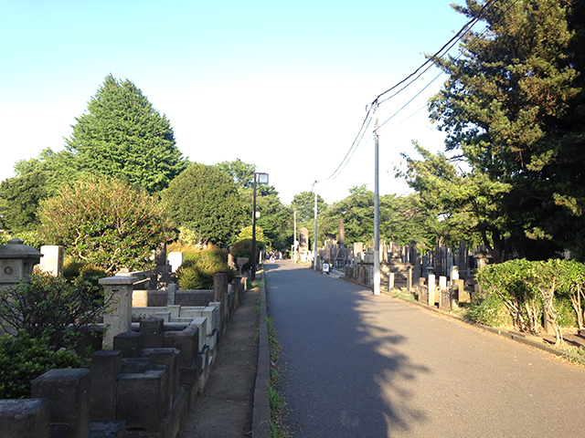 都立 谷中霊園　自然が溢れる墓域
