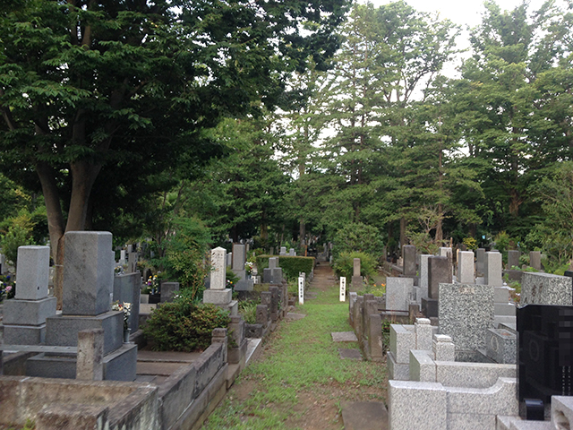 都立 雑司ヶ谷霊園　緑に囲まれた墓域
