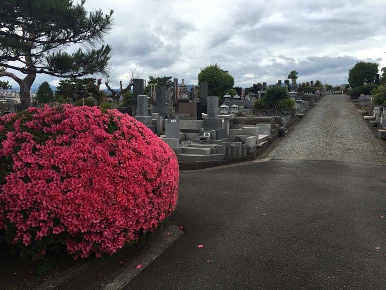 八王子市営 緑町霊園　季節の花が美しい墓域