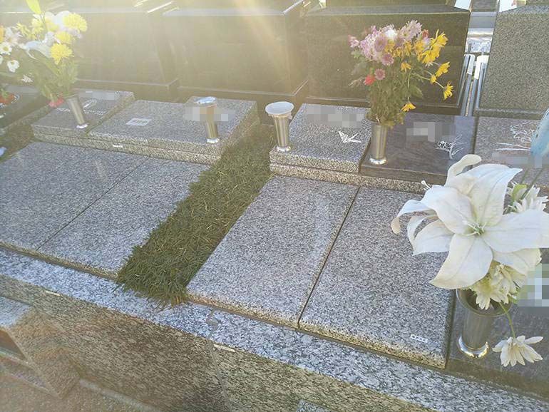 公園墓地 瑠璃光苑　日当たりの良い樹木葬－ガーデンタイプ4型