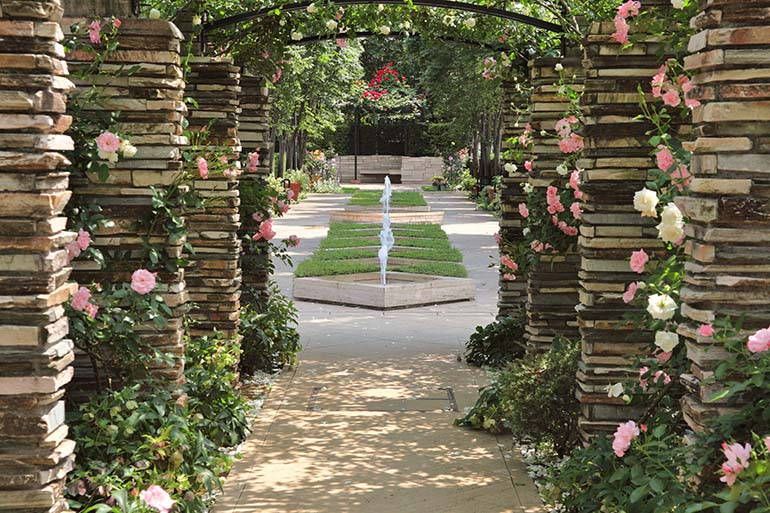 花小金井ふれあいパーク　バラのアーチからの眺め