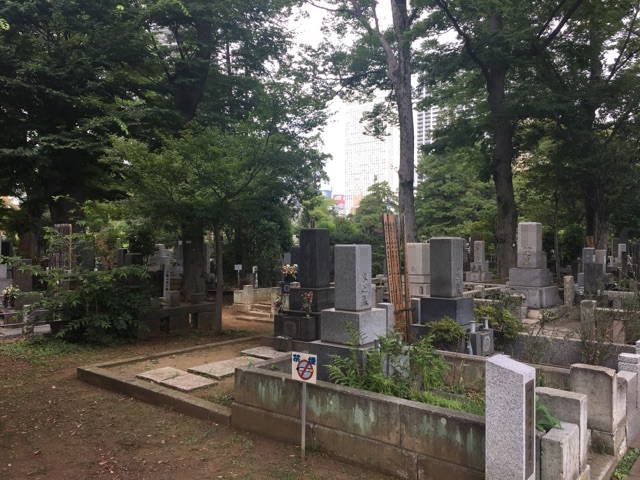 都立 雑司ヶ谷霊園　木々に包まれた墓域
