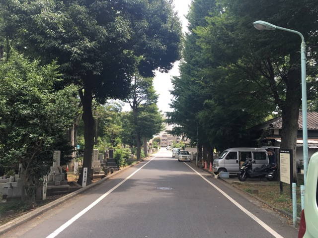 都立 雑司ヶ谷霊園　霊園すぐ横の道