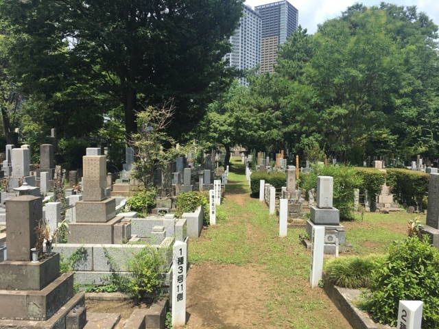 都立 雑司ヶ谷霊園　日当たりの良い墓域