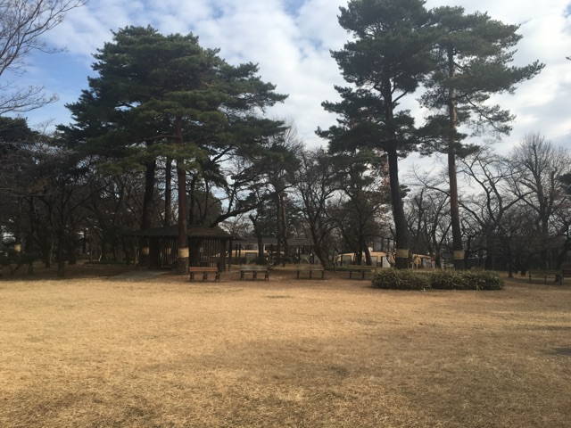 都立 小平霊園　自然を感じられる休憩スペース