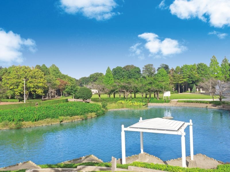 メモリアルパーク近くにある公園の池