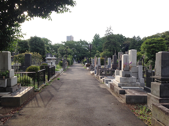 都立 染井霊園　舗装された参道