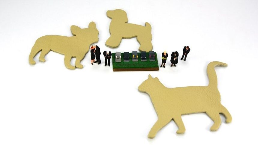 ペット霊園を選ぶポイントと注意点を解説！愛する家族を安心して見送る準備をしよう