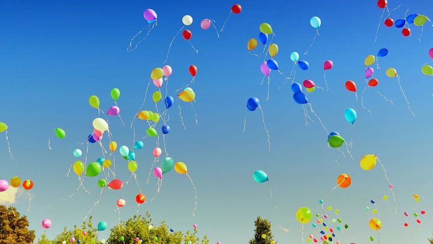 自然葬の種類や費用相場がわかる！いま注目のエコなお墓