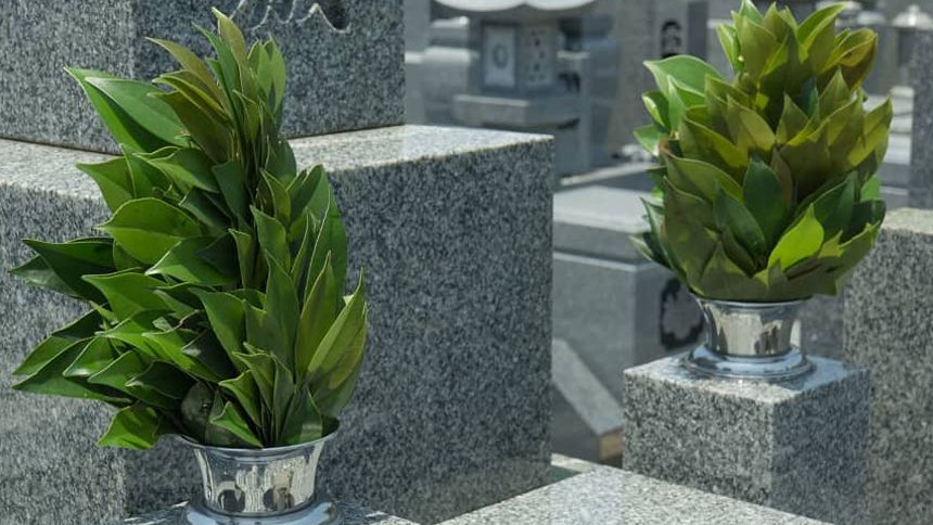 神道のお墓について解説！仏教のお墓との違いや納骨までの流れが分かる