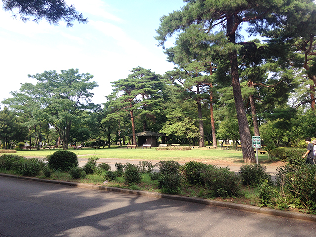 都立 小平霊園　霊園全体面積の半分は緑豊かな公園