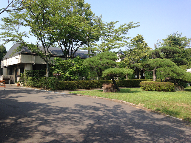 都立 八王子霊園　手入れの行き届いた植栽