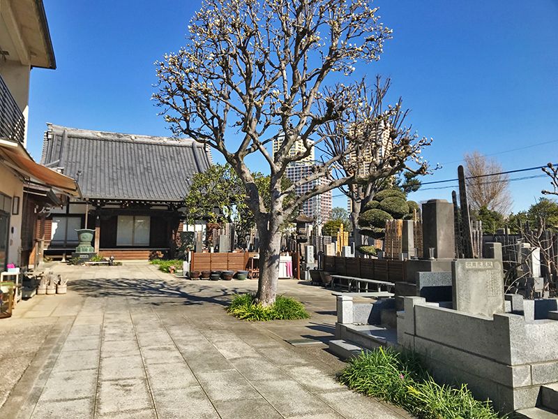 【完売】谷中ガーデン墓地 花壇墓園