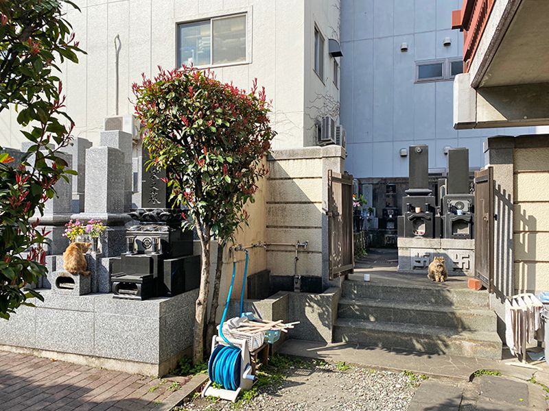 東上野霊苑　墓域の中にある水汲み場