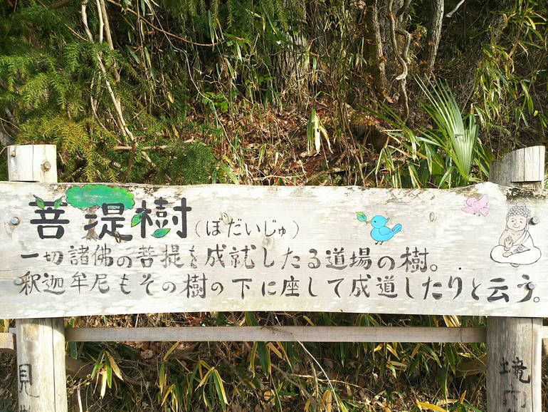 徳林寺墓苑