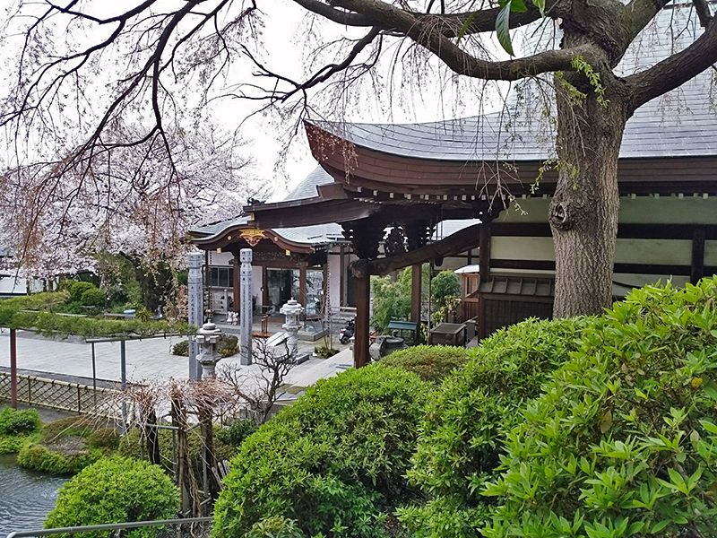 霊園やすらぎの丘　手入れの行き届いた木々