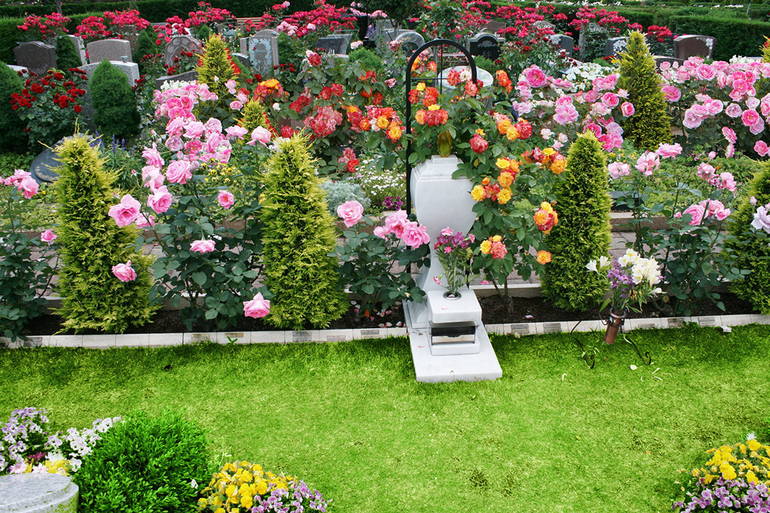 色とりどりの花が咲き誇る秋津ふれあいパーク