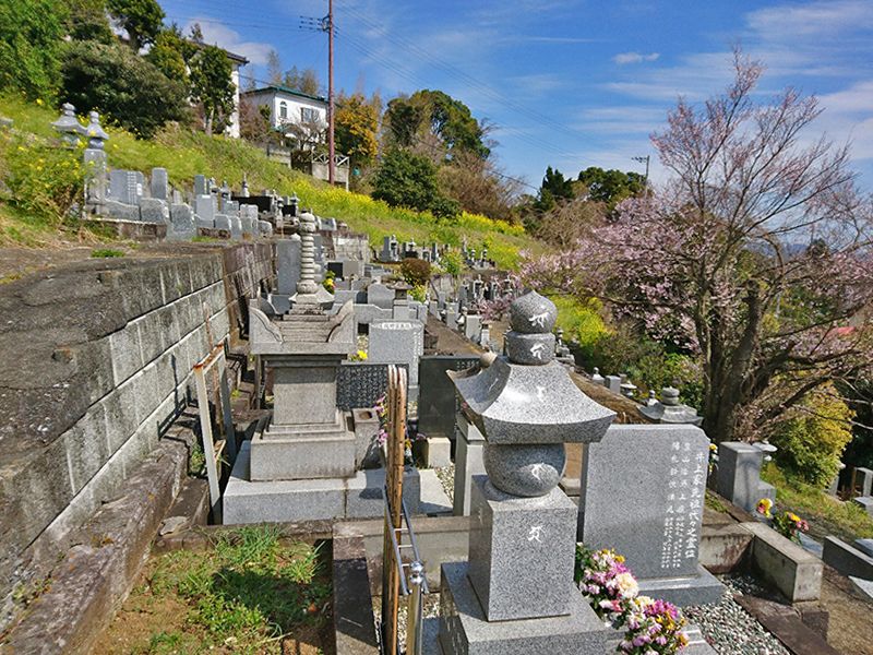 東光院　日当たりの良い斜面