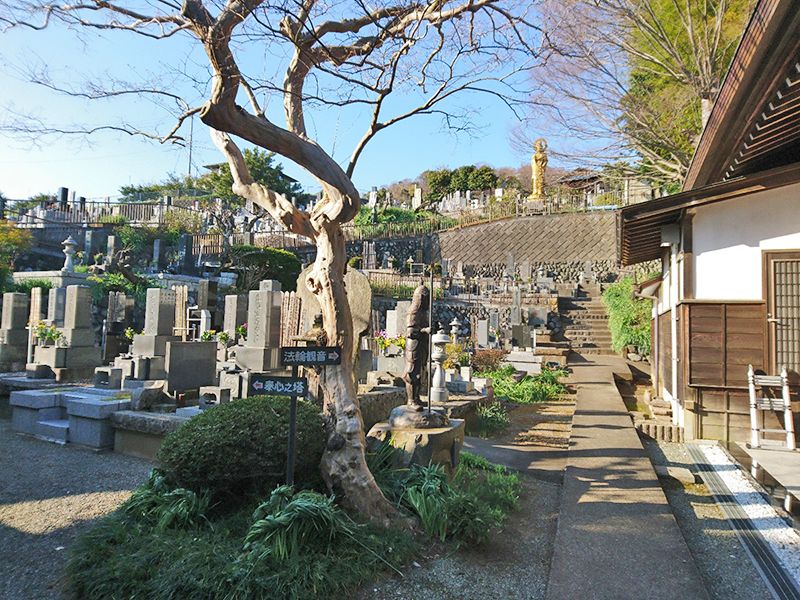 法輪寺