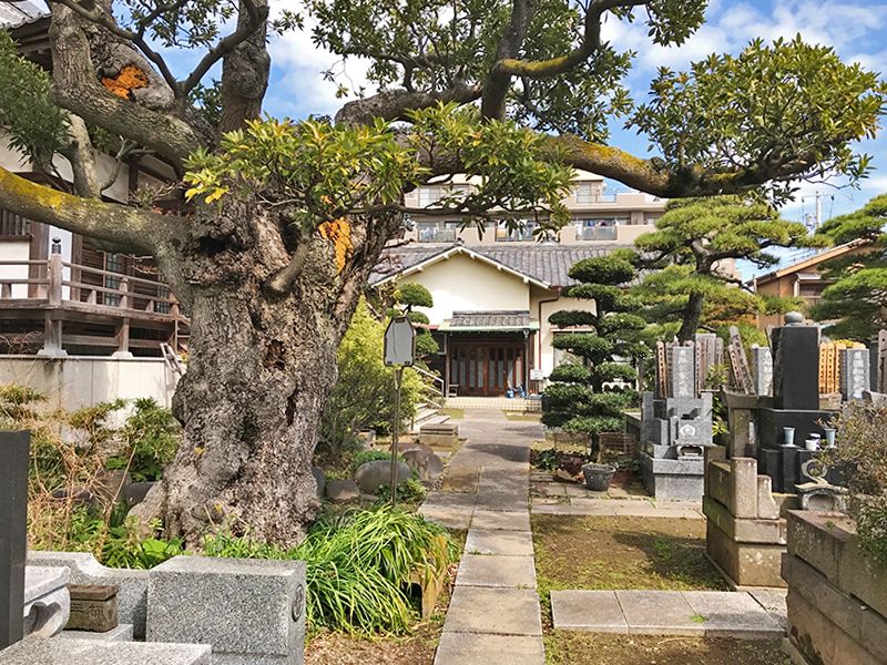 円照寺墓苑