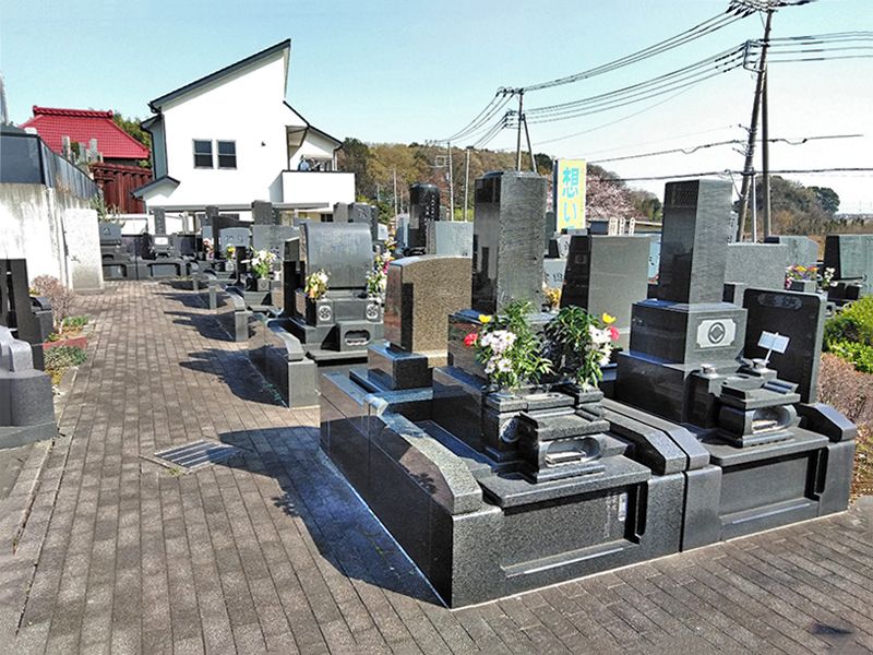 想いでの丘「永遠の絆」