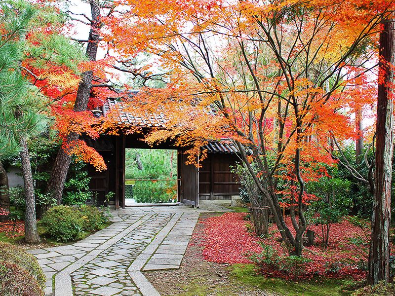 大本山大徳寺塔頭 正受院