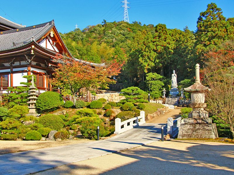 円珠院墓地