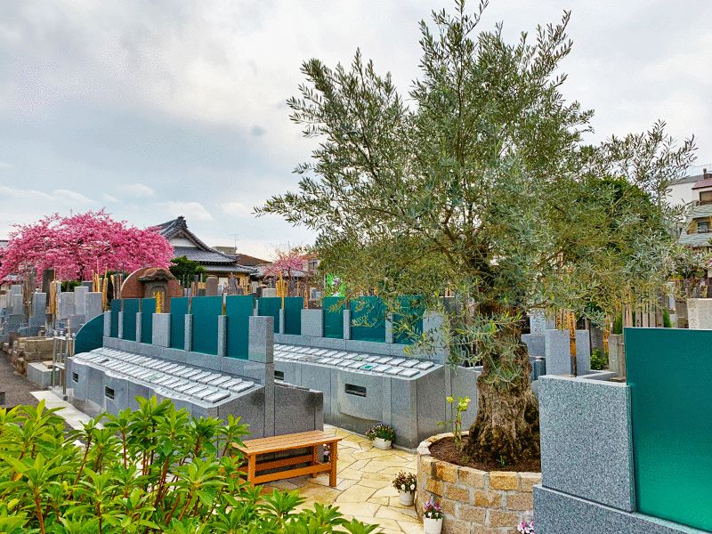 オリーブ光の庭園