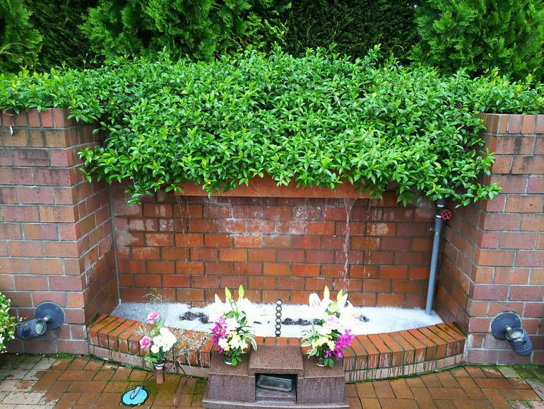 秋津ふれあいパーク