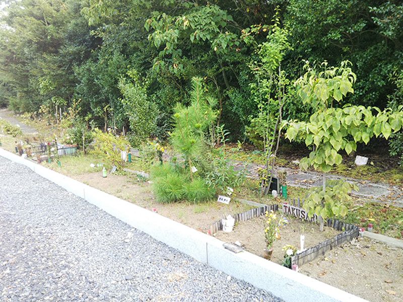 高平寺 樹木葬
