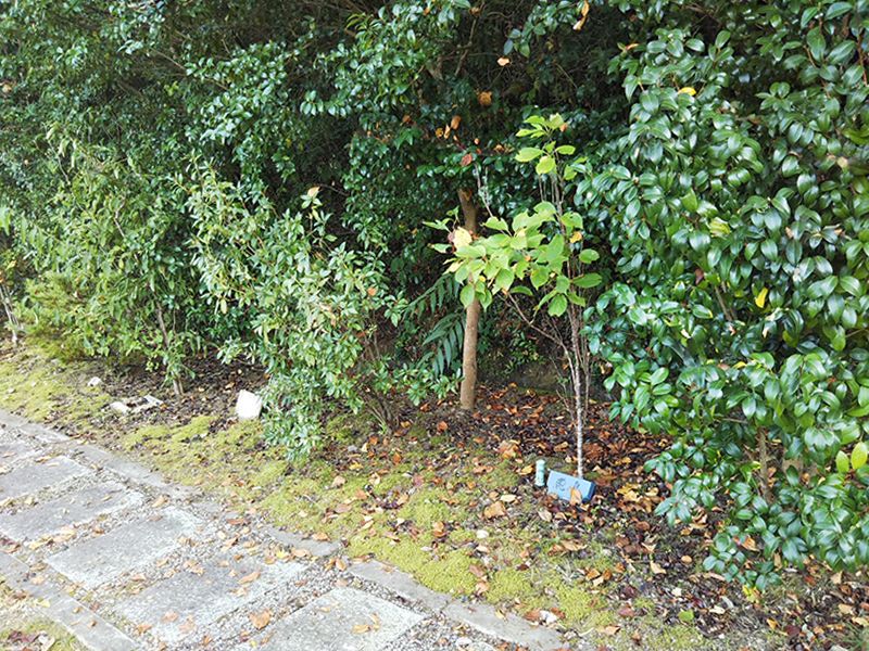 高平寺 樹木葬