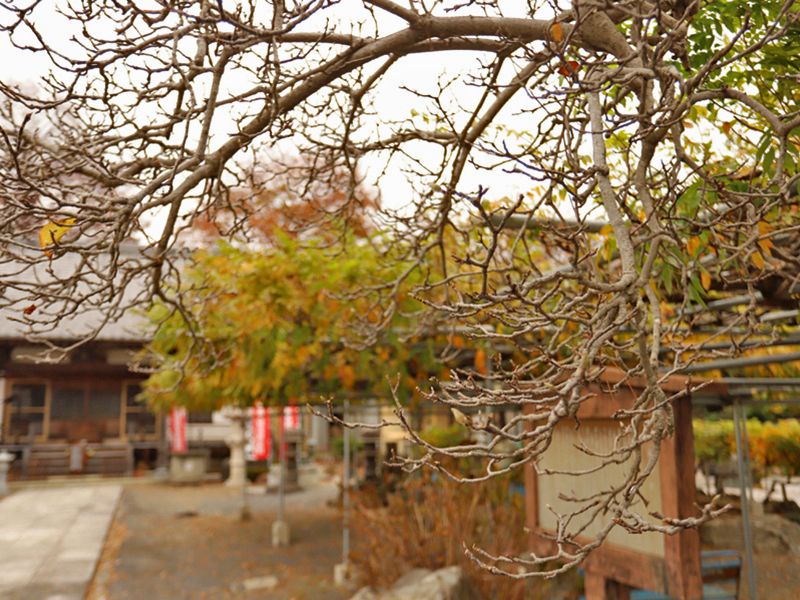 正観寺
