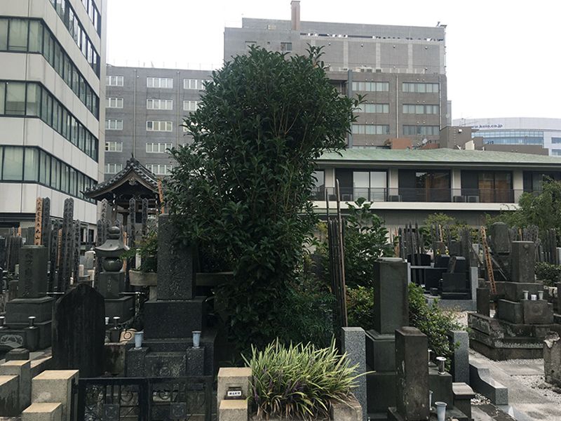 天龍寺